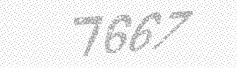 Visual security code — type the characters shown in the image