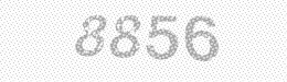 Visual security code — type the characters shown in the image